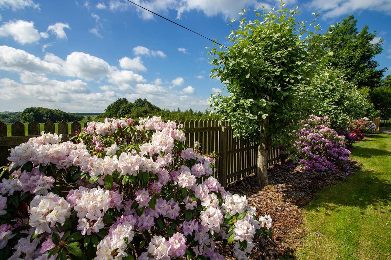Home Farm B&B - Sunflower Room ฟอร์ฟาร์ ภายนอก รูปภาพ